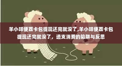 羊小咩便荔卡包提现还完就没了,羊小咩便荔卡包提现还完就没了，透支消费的陷阱与反思