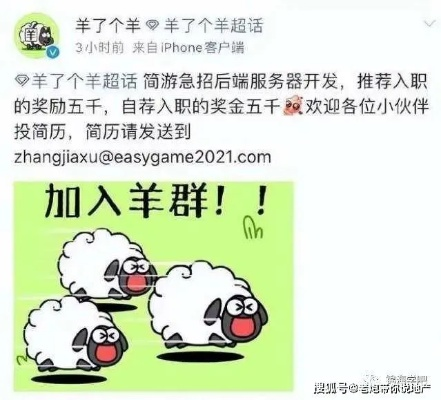 羊小咩套现网站,揭秘羊小咩套现网站，一场虚拟的财富游戏