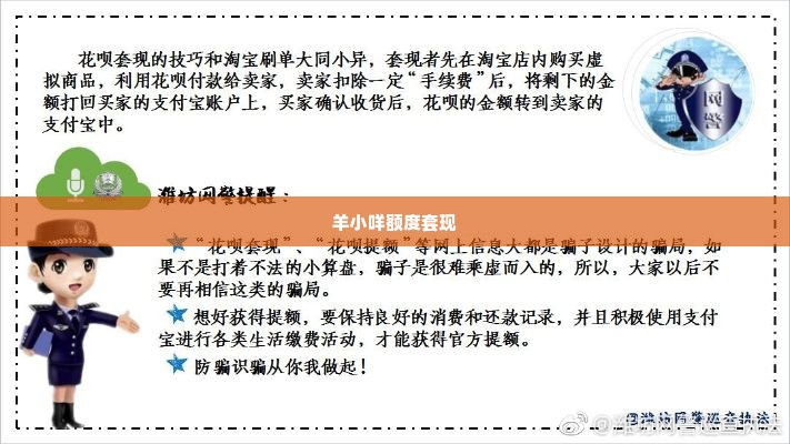 羊小咩额度套现,羊小咩额度套现，揭秘金融创新与风险