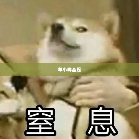 羊小咩可以套现吗,羊小咩，探索数字世界的套现可能性
