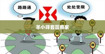 羊小咩套现找个商家,羊小咩套现，寻找诚信商家的指南