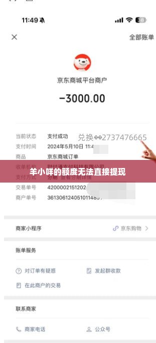 羊小咩额度怎么套现,羊小咩额度怎么套现？揭秘网络贷款平台的变现之道