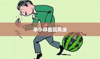 羊小咩套现不给回款,羊小咩套现风波，资金回笼的困境与对策