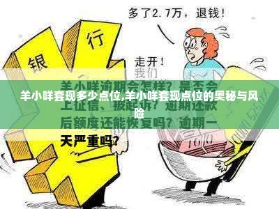 羊小咩套现多少点位,羊小咩套现点位的奥秘与风险