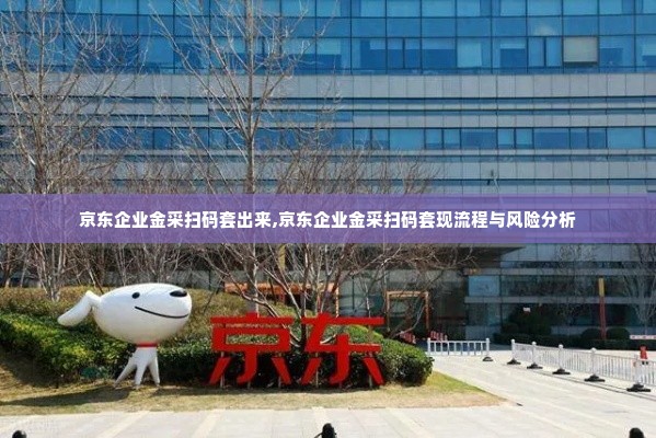 京东企业金采扫码套出来,京东企业金采扫码套现流程与风险分析