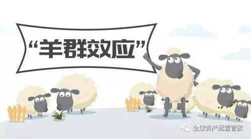 羊小咩套现多少个点,羊小咩套现策略解析，如何实现资金的最大化利用