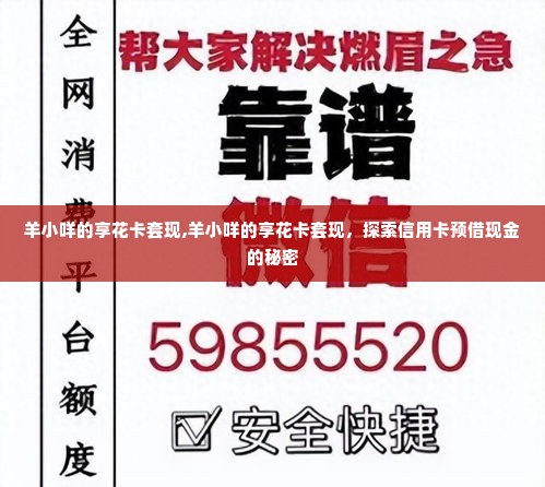 羊小咩的享花卡套现,羊小咩的享花卡套现，探索信用卡预借现金的秘密