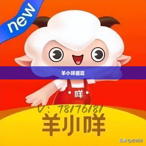 羊小咩提现,羊小咩提现，探索互联网金融的便捷之道