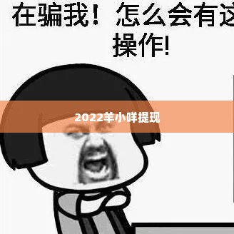 2022羊小咩提现,2022羊小咩提现攻略，轻松实现资金自由