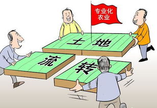深圳羊小咩提现,深圳羊小咩提现攻略，轻松应对资金流转难题