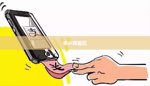 深圳羊小咩提现,深圳羊小咩提现攻略，轻松应对资金流转难题