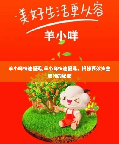 羊小咩快速提现,羊小咩快速提现，揭秘高效资金流转的秘密