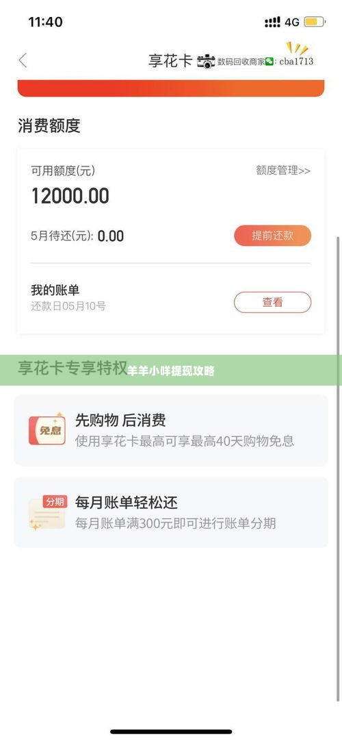 羊羊小咩怎么提现,羊羊小咩的提现攻略，轻松实现收益