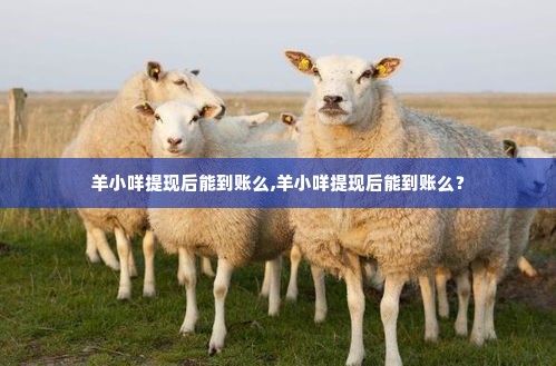 羊小咩提现后能到账么,羊小咩提现后能到账么？
