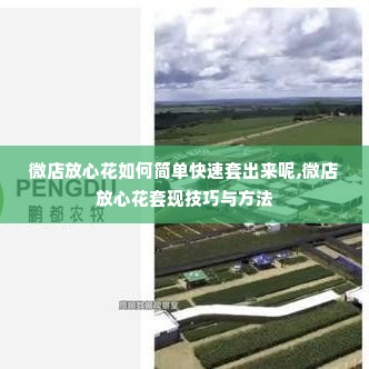 微店放心花如何简单快速套出来呢,微店放心花套现技巧与方法