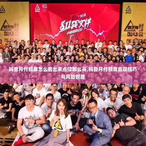 抖音月付额度怎么套出来点位那么高,抖音月付额度套现技巧与风险管理