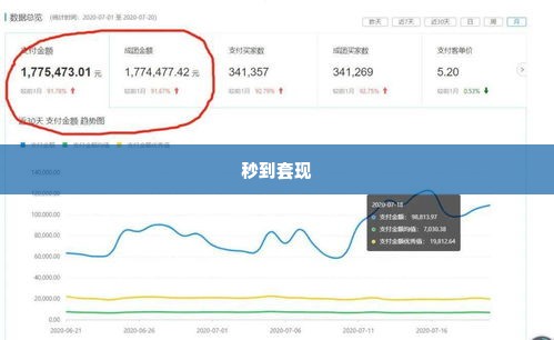 拼多多先用后付秒到套出来啊,拼多多先用后付——秒到套现的便捷之道