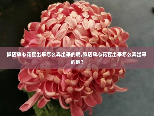微店放心花套出来怎么弄出来的呢,微店放心花套出来怎么弄出来的呢？