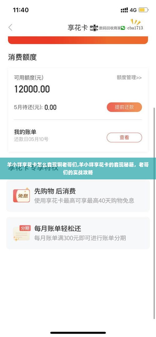 羊小咩享花卡怎么套现啊老哥们,羊小咩享花卡的套现秘籍，老哥们的实战攻略