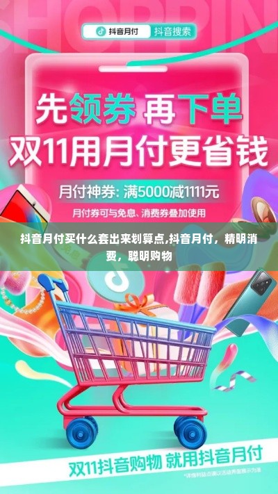 抖音月付买什么套出来划算点,抖音月付，精明消费，聪明购物