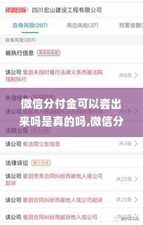 微信分付金可以套出来吗是真的吗,微信分付金的真相，能否套现及其风险评估