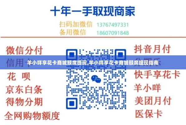 羊小咩享花卡商城额度提现,羊小咩享花卡商城额度提现指南