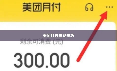美团月付怎么套出来1000元,探索美团月付的巧妙使用技巧，轻松实现1000元快速提现