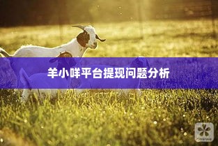 羊小咩为什么不能提现,羊小咩平台提现难题的深度剖析