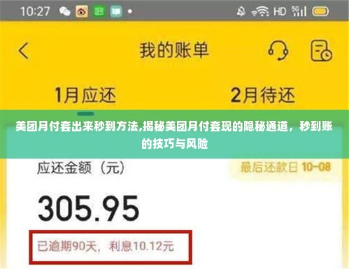 美团月付套出来秒到方法,揭秘美团月付套现的隐秘通道，秒到账的技巧与风险