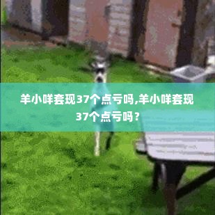 羊小咩套现37个点亏吗,羊小咩套现37个点亏吗？