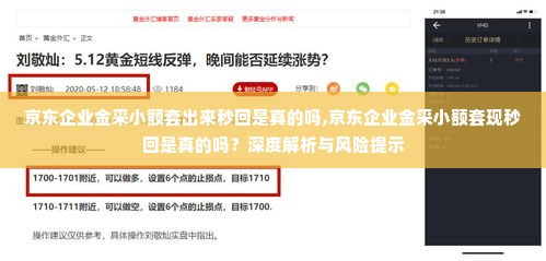 京东企业金采小额套出来秒回是真的吗,京东企业金采小额套现秒回是真的吗？深度解析与风险提示