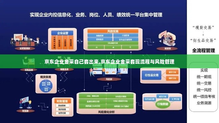 京东企业金采自己套出来,京东企业金采套现流程与风险管理