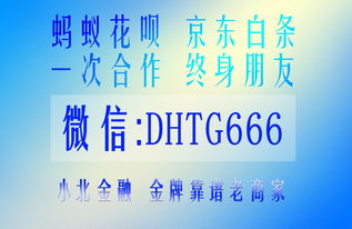 京东企业金采套出来手续费多少钱一天,京东企业金采套现手续费分析，一天的成本究竟几何？