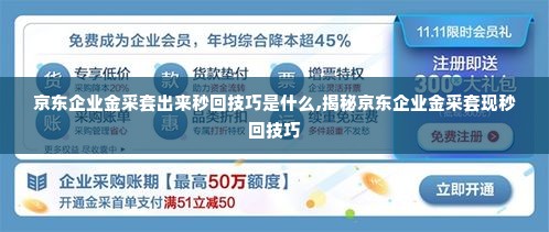 京东企业金采套出来秒回技巧是什么,揭秘京东企业金采套现秒回技巧