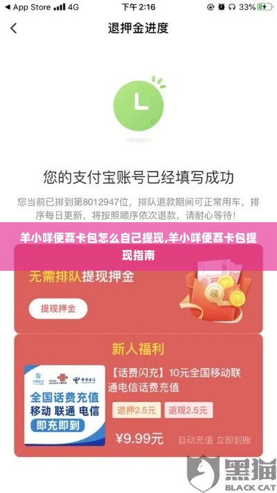 羊小咩便荔卡包怎么自己提现,羊小咩便荔卡包提现指南