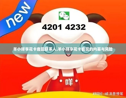 羊小咩享花卡套现联系人,羊小咩享花卡套现的内幕与风险