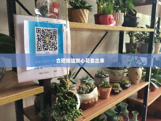 合肥微店放心花套出来,合肥微店放心花套出来——探索城市中的小确幸
