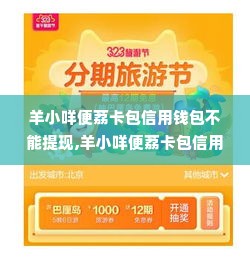 羊小咩便荔卡包信用钱包不能提现,羊小咩便荔卡包信用钱包的困境，提现难题剖析