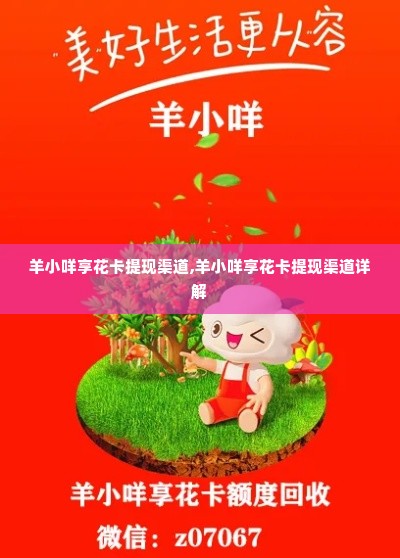 羊小咩享花卡提现渠道,羊小咩享花卡提现渠道详解