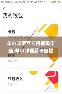 羊小咩便荔卡包提现渠道,羊小咩便荔卡包提现渠道详解