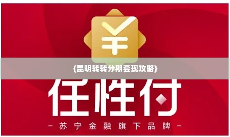 昆明转转分期套出来,昆明转转分期套现攻略