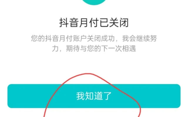 抖音月付额度怎样套出来,揭秘抖音月付额度的提取技巧