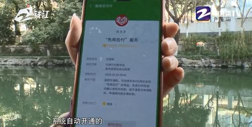 有没有拼多多先用后付套出来的,拼多多先用后付套现，揭秘背后的风险与陷阱
