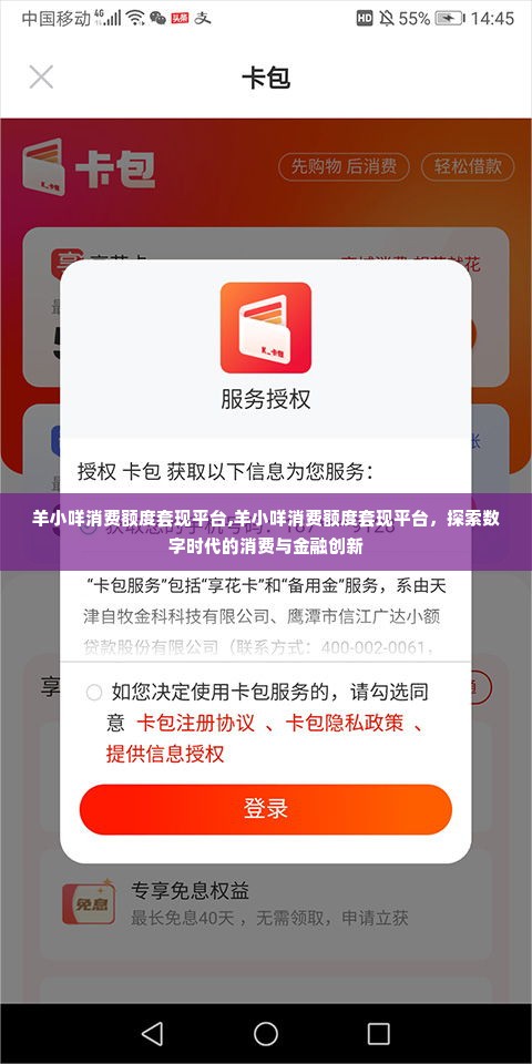 羊小咩消费额度套现平台,羊小咩消费额度套现平台，探索数字时代的消费与金融创新