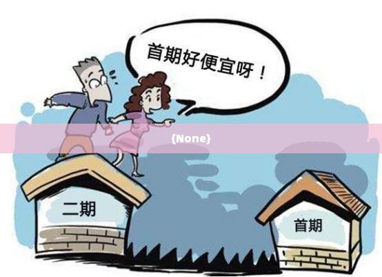 苏州转转分期套出来,苏州转转分期套现攻略
