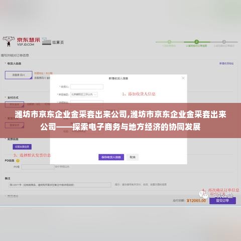 潍坊市京东企业金采套出来公司,潍坊市京东企业金采套出来公司——探索电子商务与地方经济的协同发展