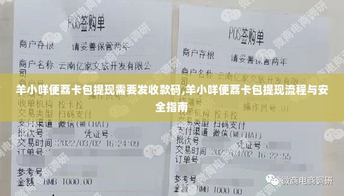 羊小咩便荔卡包提现需要发收款码,羊小咩便荔卡包提现流程与安全指南