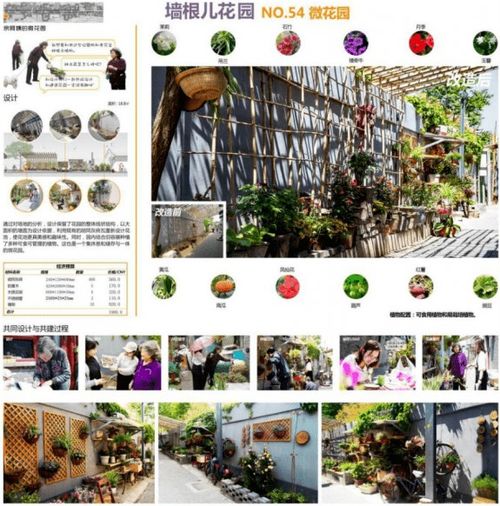 成都微店放心花哪里能套出来,成都微店放心花哪里能套出来？探索与策略