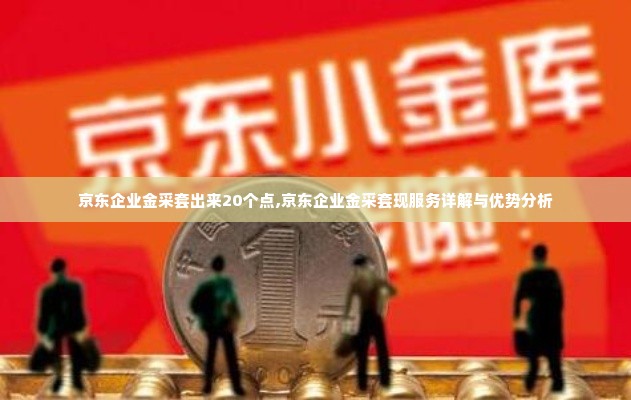 京东企业金采套出来20个点,京东企业金采套现服务详解与优势分析