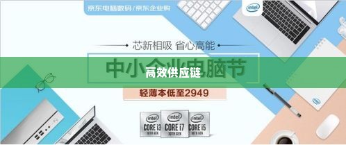 京东企业金采套出来渠道,京东企业金采——打造高效供应链的渠道策略
